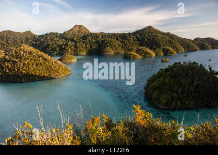 Kalksteininseln umgeben von einer entfernten Lagune in Wayag, Raja Ampat, Indonesien. Diese Region ist Bestandteil der Coral Triangle. Stockfoto