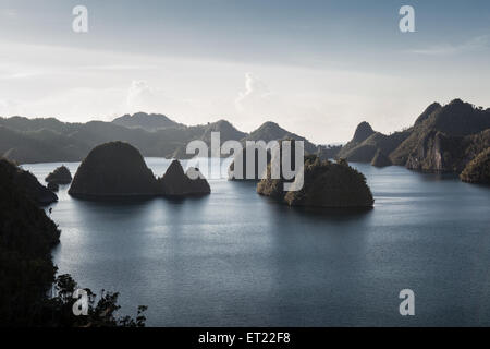 Kalksteininseln befinden sich in einer abgelegenen tropischen Lagune in Raja Ampat, Indonesien. Dieser Bereich ist das Herzstück der Coral Triangle. Stockfoto