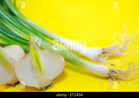 Frischem Lauch und Zwiebeln auf gelbem Hintergrund Stockfoto