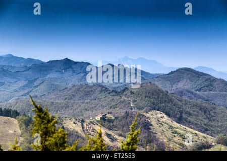 Grünen Ackerland kultiviert auf den sanften Hügeln der Landschaft in Norditalien Stockfoto