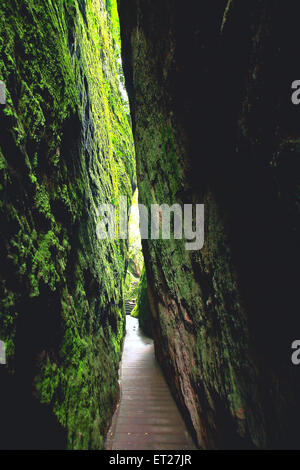 in einer tiefen Schlucht Trail Stockfoto