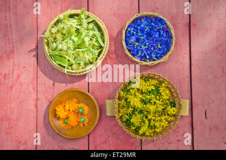 Mittsommer Zeit verschiedene Heilpflanzen Blumen in Weidenkörbe auf Tisch im Garten Stockfoto