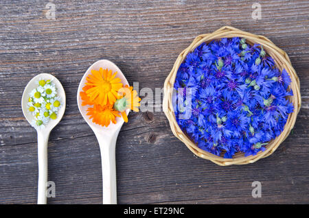 Kamille, Ringelblume und Kornblume Heilkräuter in Holzlöffel und Weidenkorb Stockfoto