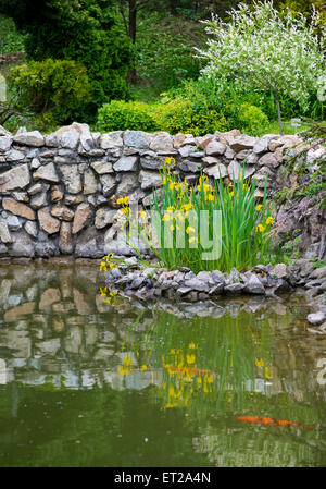 Reihe von Lilien in der Mitte des Sees Stockfoto