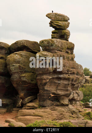 Brimham Rocks, brimham Moor, National Trust, in North Yorkshire, England Stockfoto