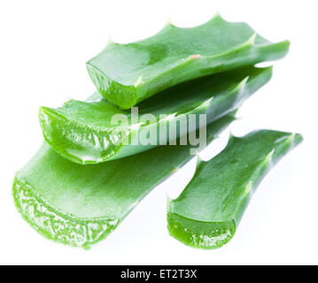 Frische Aloe Vera Blätter isolierten auf weißen Hintergrund. Stockfoto