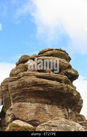 Brimham Rocks, brimham Moor, National Trust, in North Yorkshire, England Stockfoto