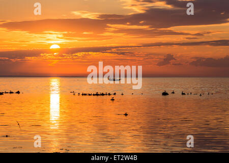 Großsegler Segeln entlang der Skyline bei Sonnenuntergang Stockfoto