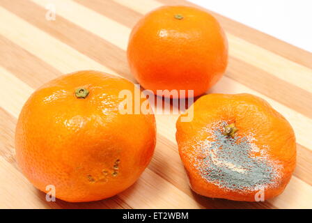 Frische und schimmelig Mandarinen auf Holzbrett Stockfoto