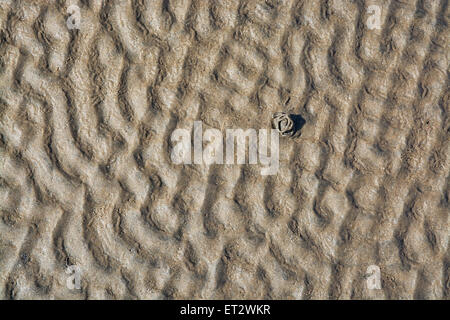 Abstraktes Sand und Sandwurm Muster, Meer Bio Naturlandschaft Detail. Stockfoto