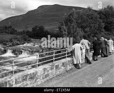 Torrandhu Brücke mit den Wasserfällen des Glascarnoch River in Ross und Cromarty. Besucher schauen Lachs springen die Wasserfälle. Highlands, Schottland. 23. August 1951. Stockfoto