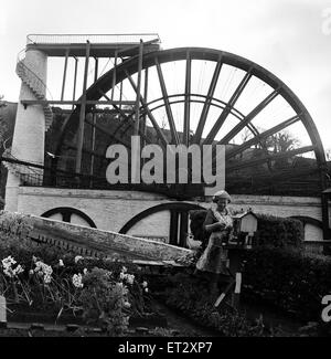 Die Laxey Wheel im Dorf Laxey, Isle of man Mai 1954. Stockfoto