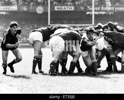 Walisischen Rugby Union Final - Neath 14-13 Llanelli. Jonathan Griffiths dreht sich den Ball wieder für Llanelli. 6. Mai 1989. Stockfoto