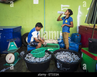 Mahachai, Samut Sakhon, Thailand. 11. Juni 2015. Burmesischen Migranten Hilfsarbeiter auf dem Talay Thai Markt in Mahachai reinigt Tintenfisch. Labor-Aktivisten sagen gibt es etwa 200.000 Wanderarbeiter aus Myanmar (Burma) Beschäftigte in der Fischerei und Meeresfrüchte in Mahachai, ein Fischerhafen über eine Stunde südwestlich von Bangkok. Thailand ist seit 2014 ein Tier 3-Land auf uns Abteilung der staatlichen Menschenhandel in Personen Bericht (Tipps). Stufe 3 ist das schlechteste Ranking, wird, dass ein Tier 3-Land auf der Liste zu Sanktionen führen kann. Stufe 3 Länder sind '' Ländern deren Regierungen vollständig nicht entsprechen den Stockfoto