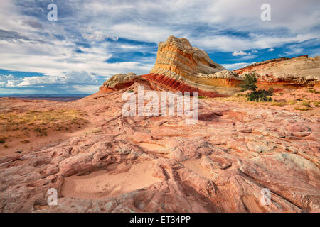 Plateau von weißen und roten Sandstein, Vermilion Cliffs. Die Fläche von White Pocket auf dem Paria Plateau im nördlichen Arizona, USA Stockfoto