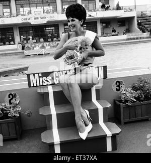 Miss Großbritannien 1965, Diane Westbury, 21 Jahre alte Modell von Bowden, Cheshire, abgebildet auf Morecambe, 25. August 1965. Abgebildet mit Überraschungs-Geschenk von einem Pudel. Stockfoto