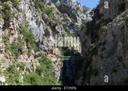 Brücke über den Rio kümmert sich tief im kümmert sich Schlucht Picos de Europa, Cordillera Kantabrien, Spanien Stockfoto