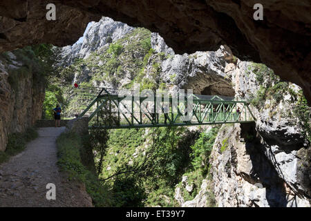 Brücke über den Rio kümmert sich tief im kümmert sich Schlucht Picos de Europa, Cordillera Kantabrien, Spanien Stockfoto