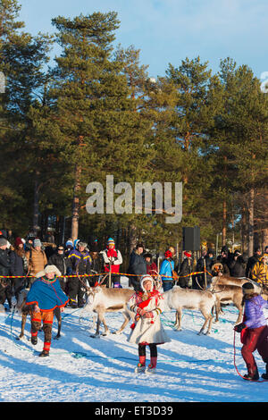 Arctic Circle, Lappland, Skandinavien, Schweden, Jokkmokk, Menschen Sami im Winter Markt Festival, Rentierrennen Stockfoto