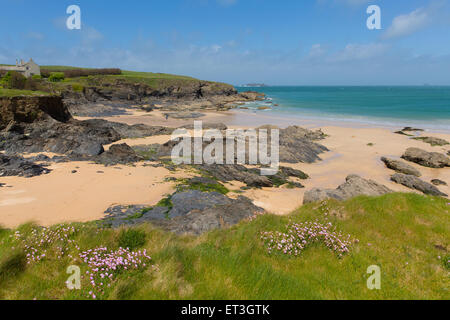 Harlyn Bay Küste North Cornwall England UK in der Nähe von Padstow und Newquay im Frühjahr mit blauem Himmel und Meer Stockfoto