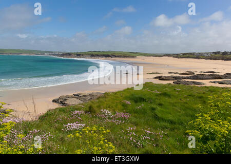 Harlyn Bay North Cornwall England UK in der Nähe von Padstow und Newquay und auf dem South West Coast Path im Frühjahr mit blauem Himmel und Meer Stockfoto