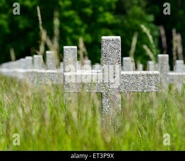 Französische Kriegsgräber, französischer Soldatenfriedhof am Hartmannswillerkopf Berg, Elsass, Frankreich Stockfoto