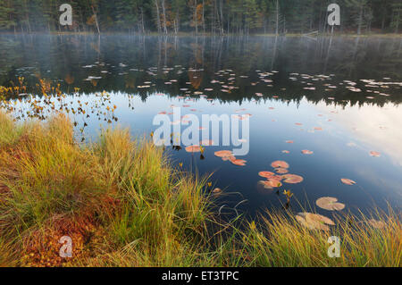 Uath Tümpeln, Glen Feshie, Cairngorms National Park, Schottland. Stockfoto