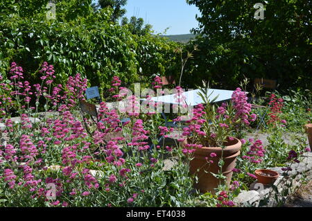 Ein sonniger Platz in der Provence mit Gartenmöbel und Blumen Stockfoto