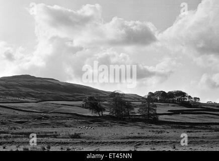Yorkshire Dales, North Yorkshire. Sonntag, 24. Oktober 1982. Stockfoto