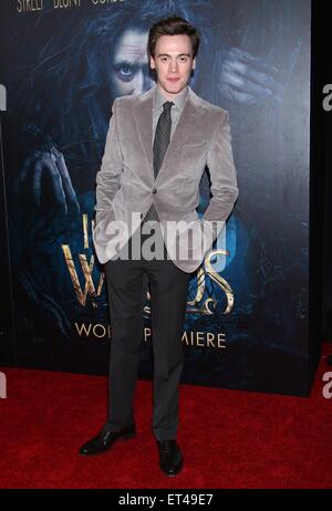 Die Weltpremiere des Films musikalisch in den Wald im Ziegfeld Theatre - Ankünfte.  Mitwirkende: Erich Bergen wo: New York, New York, Vereinigte Staaten von Amerika bei: Kredit-9. Dezember 2014: Joseph Marzullo/WENN.com Stockfoto