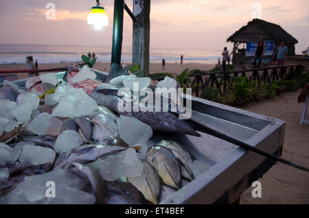 Ein Schwertfisch auf dem Tisch auf einem indischen Open-Air-Markt Stockfoto