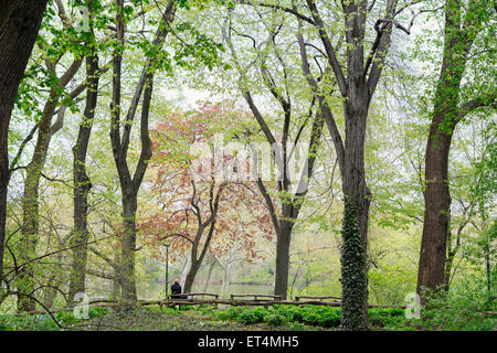 Person sitzt auf einer Bank im Central Park im Frühling. New York City. Stockfoto