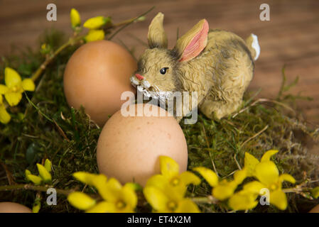 Nahaufnahme eines osterhasen mit ostereiern, München, Bayern, Deutschland Stockfoto