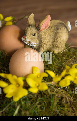 Nahaufnahme eines osterhasen mit ostereiern, München, Bayern, Deutschland Stockfoto