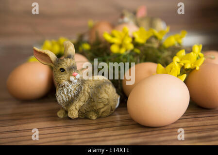 Nahaufnahme eines osterhasen mit ostereiern, München, Bayern, Deutschland Stockfoto