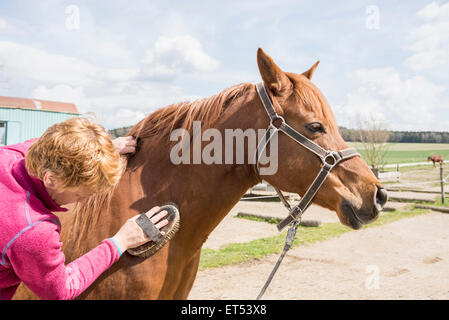 Frau, die Pflege eines Pferdes in Ranch Bayern Deutschland Stockfoto