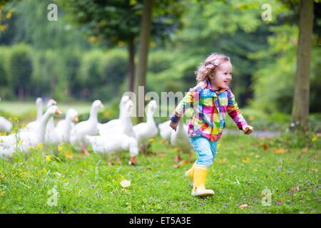 Lustige glücklich Mädchen, entzückende lockige Kleinkind tragen eine bunte Regenjacke, ausgeführt in einem Park spielen und füttern weiß gees Stockfoto