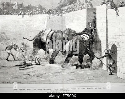 Lizenzgebühren auf Tour Königlicher Besuch in Indien Baroda der Elefanten-Kampf in der Arena vor dem Prinzen von Wales; Gujarat; Indien Stockfoto