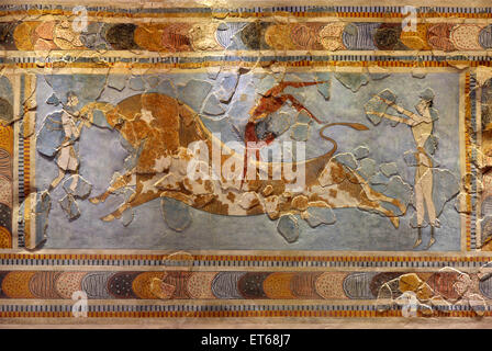 Der Stier-springen Fresko aus dem minoischen Palast von Knossos, in das archäologische Museum von Heraklion, Kreta, Griechenland Stockfoto