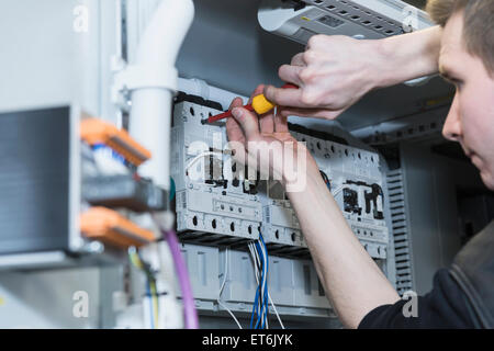 Elektriker Kabel einschrauben Verteilung Sicherungskasten, München, Bayern, Deutschland Stockfoto