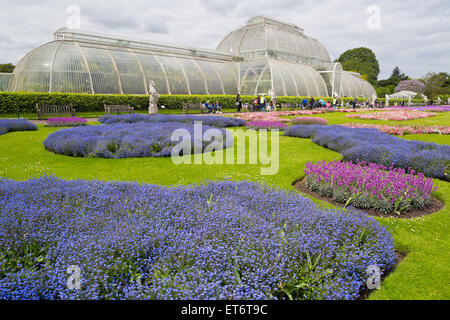 Kew königliche botanische Gärten, Palm House - London, UK, Europe Stockfoto