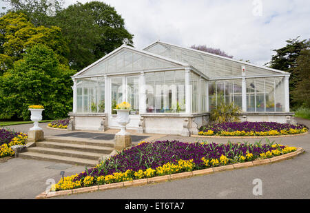 Kew königliche botanische Gärten, Waterlily House - London, UK, Europe Stockfoto