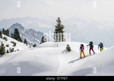 Skibergsteiger Klettern auf verschneiten Bergen, Tirol, Österreich Stockfoto