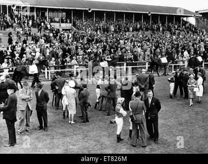 Pferde etwa zur Teilnahme an der Northumberland Platte am Samstag laufen rund um die Parade-Ring im Gosforth Park. 24. Juni 1964. Stockfoto