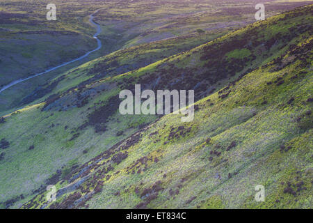 Mott Straße Fußweg hinauf durch Carding Mill Valley auf dem Plateau des Long Mynd, in der Nähe von Kirche Stretton, Shropshire Stockfoto