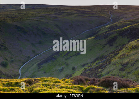 Mott Straße Fußweg hinauf durch Carding Mill Valley auf dem Plateau des Long Mynd, in der Nähe von Kirche Stretton, Shropshire Stockfoto