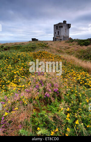 Alte Burgruine auf Klippen in Crookhaven, County Cork, Irland Stockfoto