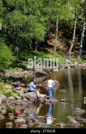 Menschen entspannen an der Wasserkante Blea Tarn im Lake District Stockfoto