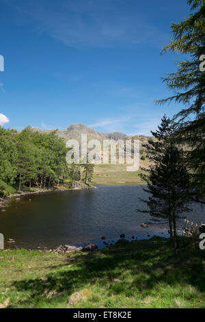 Blea Tarn in der Seenplatte, Cumbria, UK Stockfoto