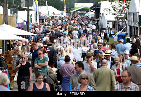 Ardingly Sussex UK 12. Juni 2015 - Massen genießen heißes Wetter, obwohl Gewitter heute später auf den Süden von England Show in Ardingly prognostiziert werden diese Jahre Thema ist The Next Generation für Ernährung und Landwirtschaft Credit: Simon Dack/Alamy Live News Stockfoto